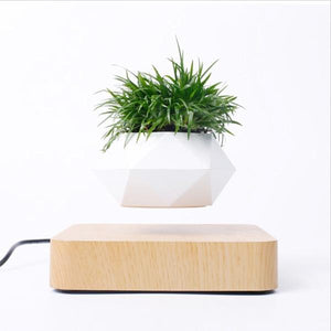 Levitating Bonsai Pot