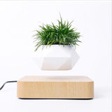 Levitating Bonsai Pot