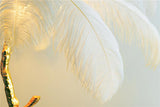Ostrich Feather Lamp Copper Stand