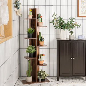Open Walnut Bookcase Display